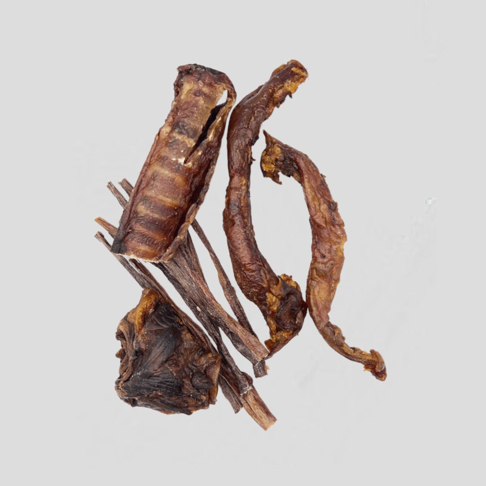 Kau Mix Pferd
