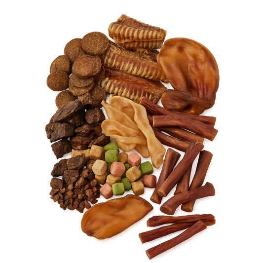 Kauartikel Special Mix für Hunde – Natur-Kausnacks, zahnpflegend