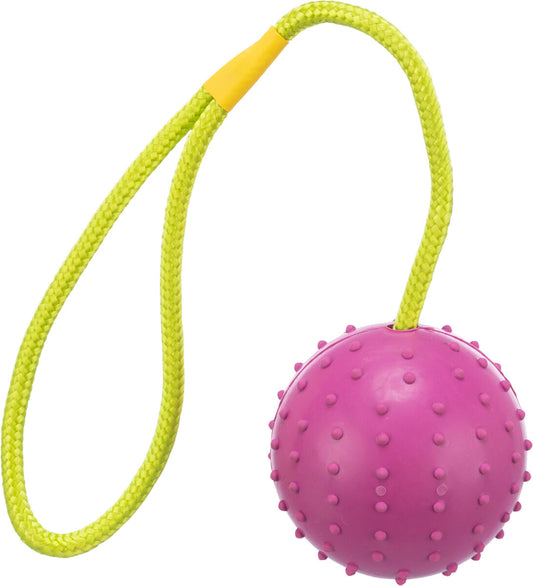 Trixie Ball mit Seil 30cm Durchmesser 7cm