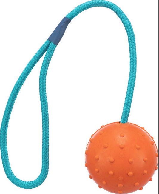 Ball am Seil 30 cm Spielzeug für Hunde 6cm