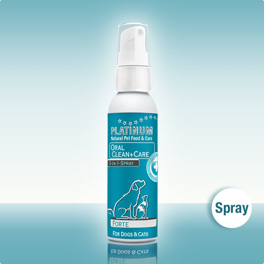 PLATINUM Oral Clean and Care Spray FORTE Zahnpflege